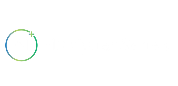 AI Multiplier Series